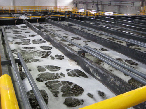 ����̎�������O��